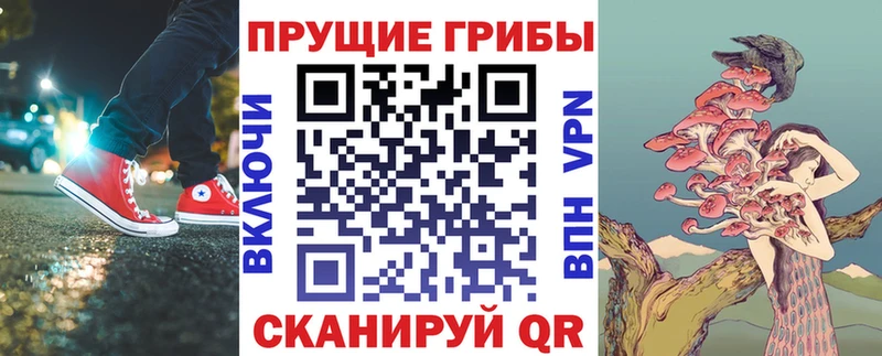 MEGA зеркало Балабаново Галлюциногенные грибы GOLDEN TEACHER